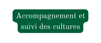 Accompagnement et suivi des cultures